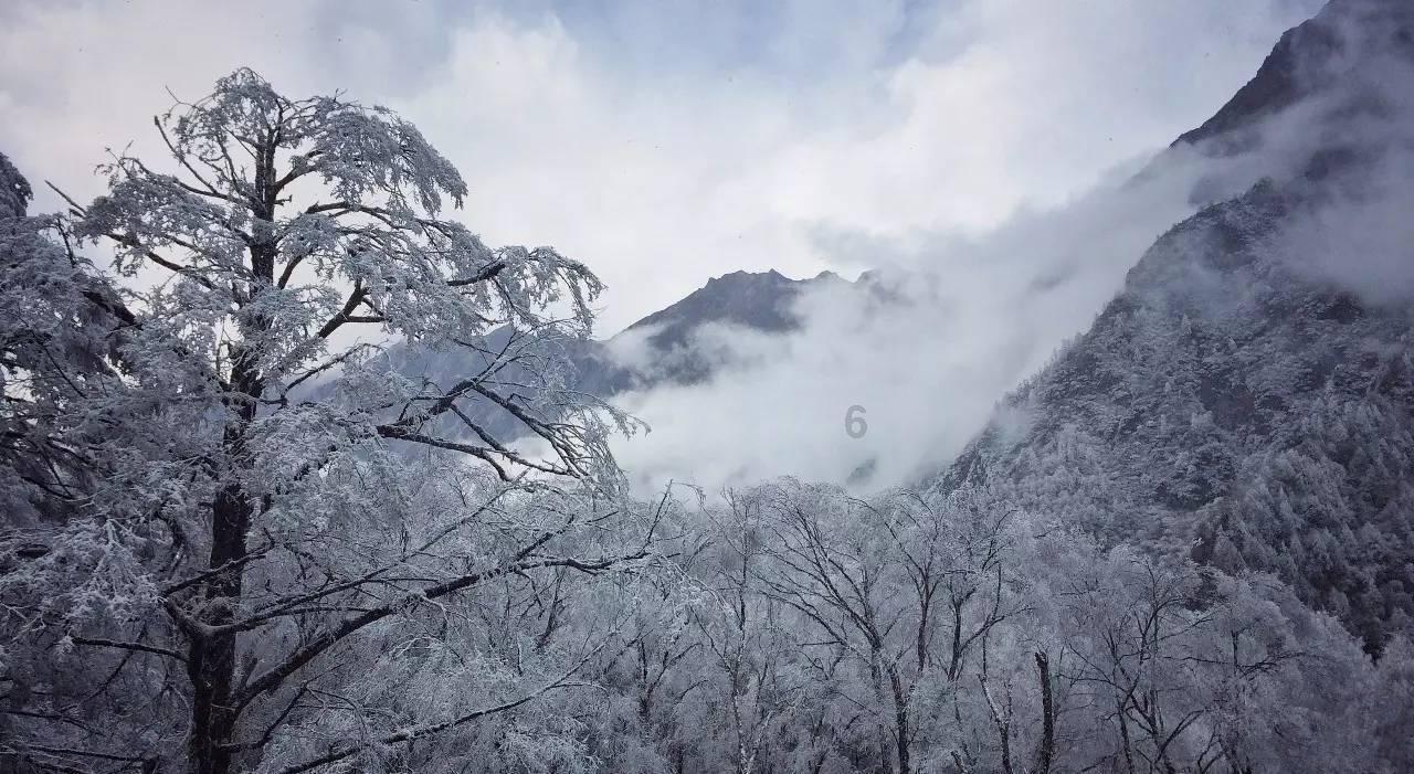 因为我对这片土地爱得深沉是哪首诗？游戏画面
